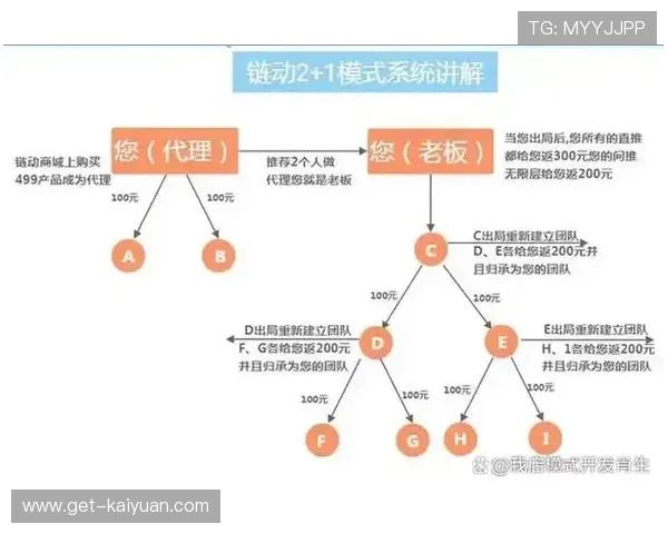 社交电商用户裂变与转化提升的全面增长策略方案